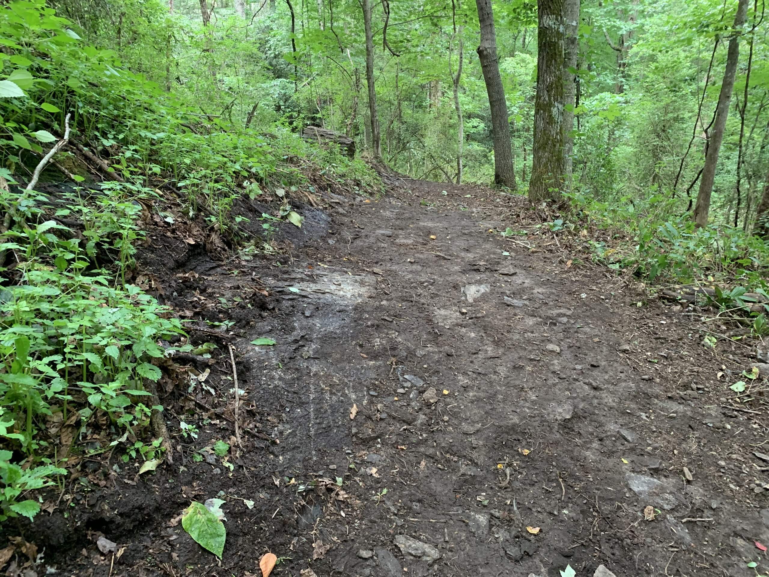 Couch Mountain Development Phase III Long Cane Trails