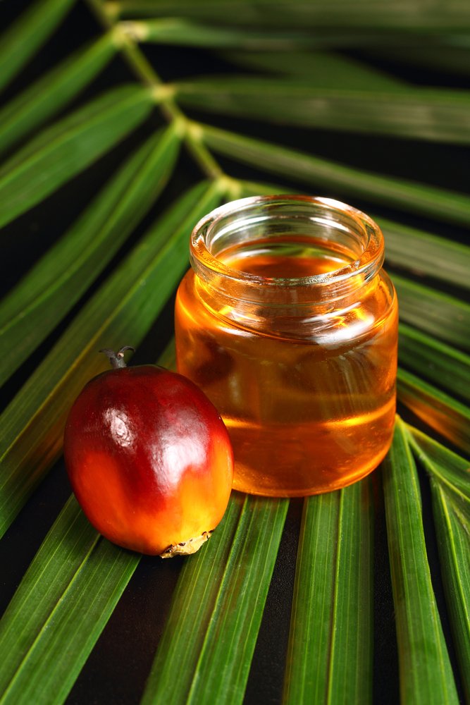 Palm Oil Is It A Healthier Choice? Longevity LIVE