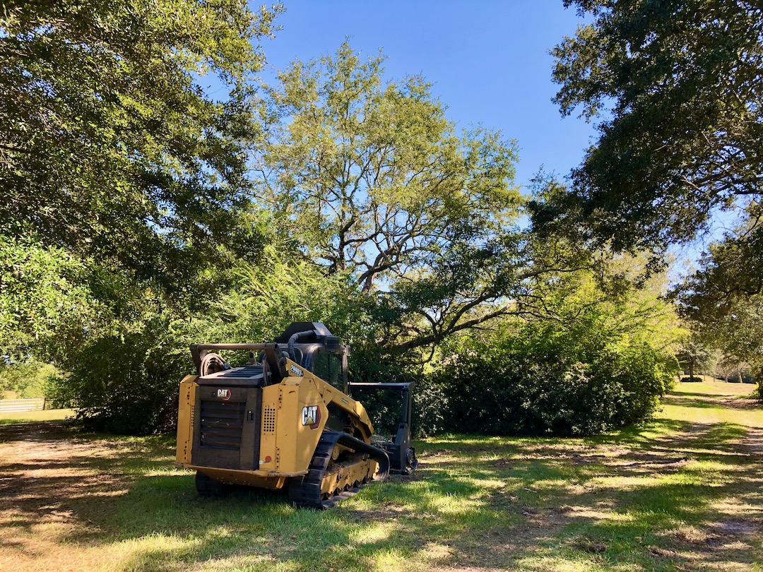 Forestry Mulching, Yard Clearing, Property Clearing Longleaf Landworks