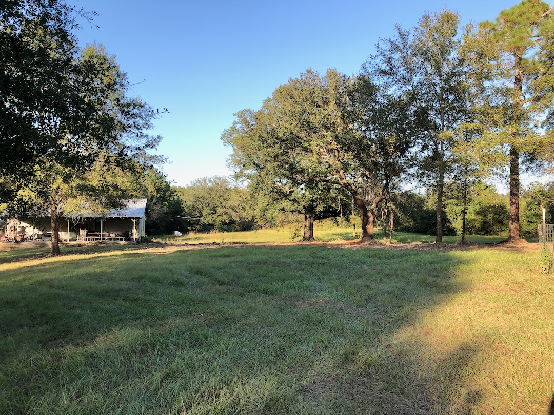 Forestry Mulching, Yard Clearing, Property Clearing Longleaf Landworks
