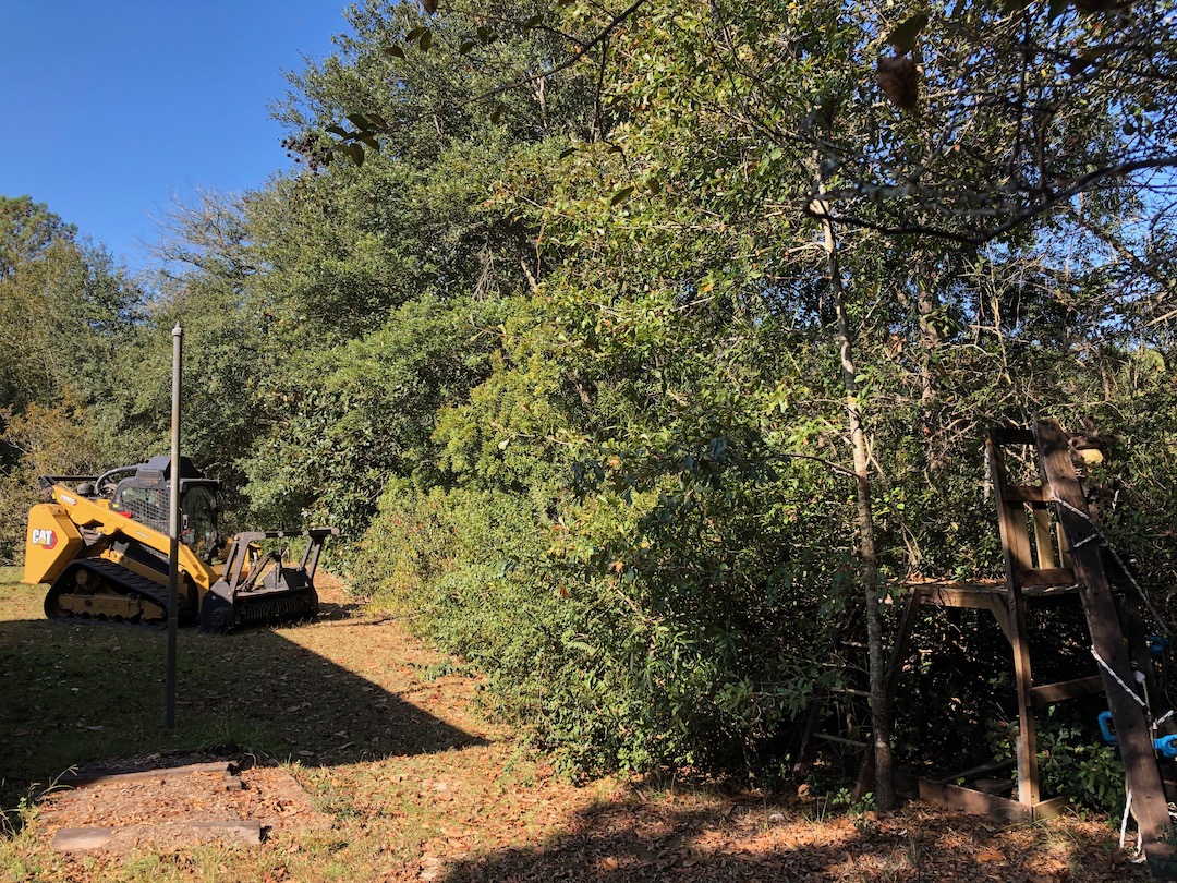 Forestry Mulching / Brush Cutting / Land Clearing, back yards large