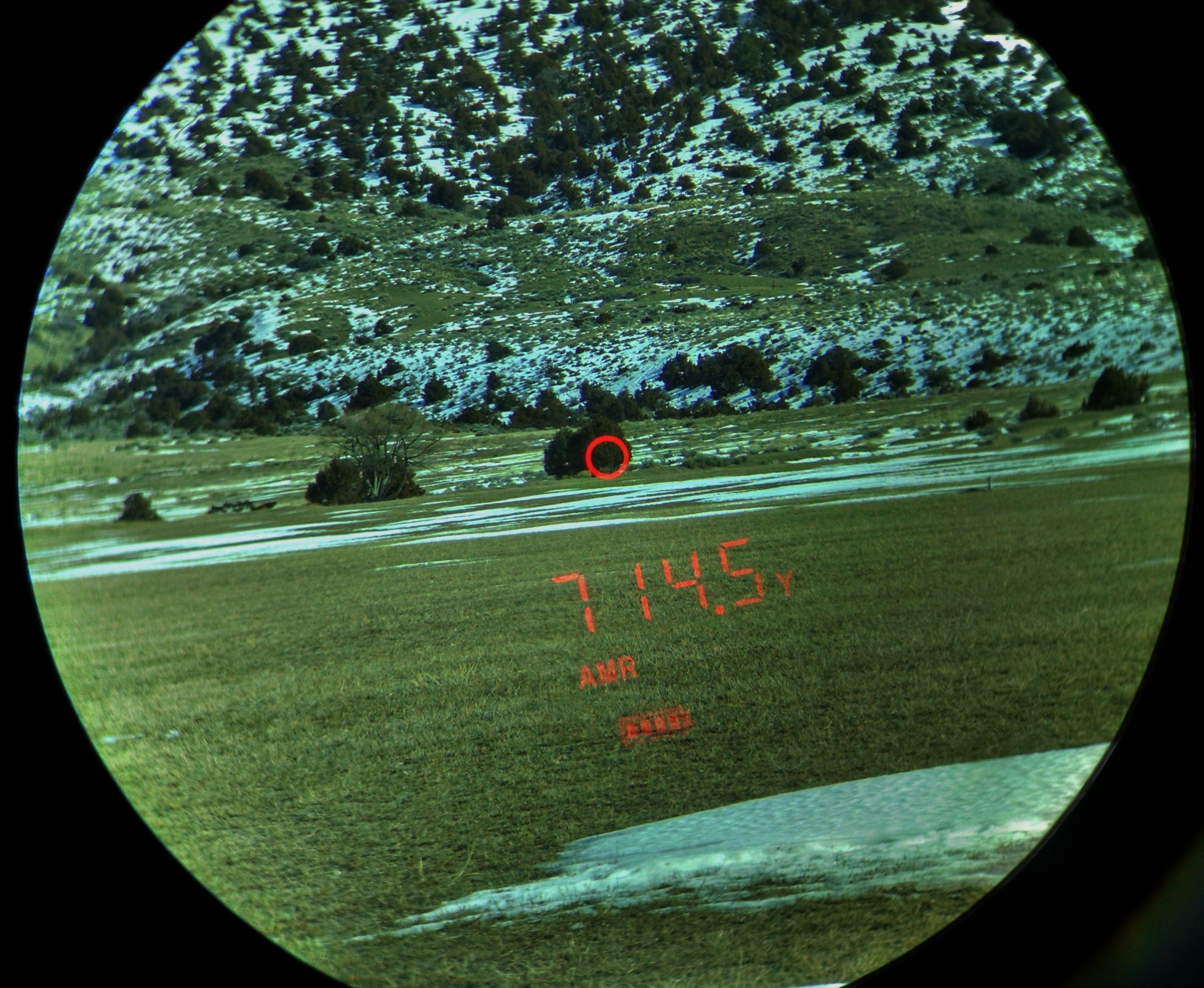 SIG SAUER KILO 2000 Rangefinder Review - Long Range Only