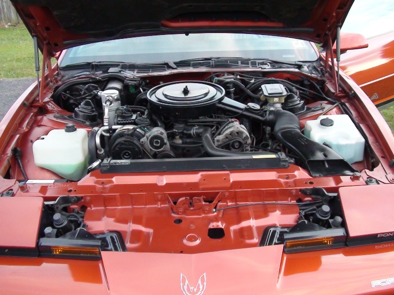 An all original 88 Formula Firebird