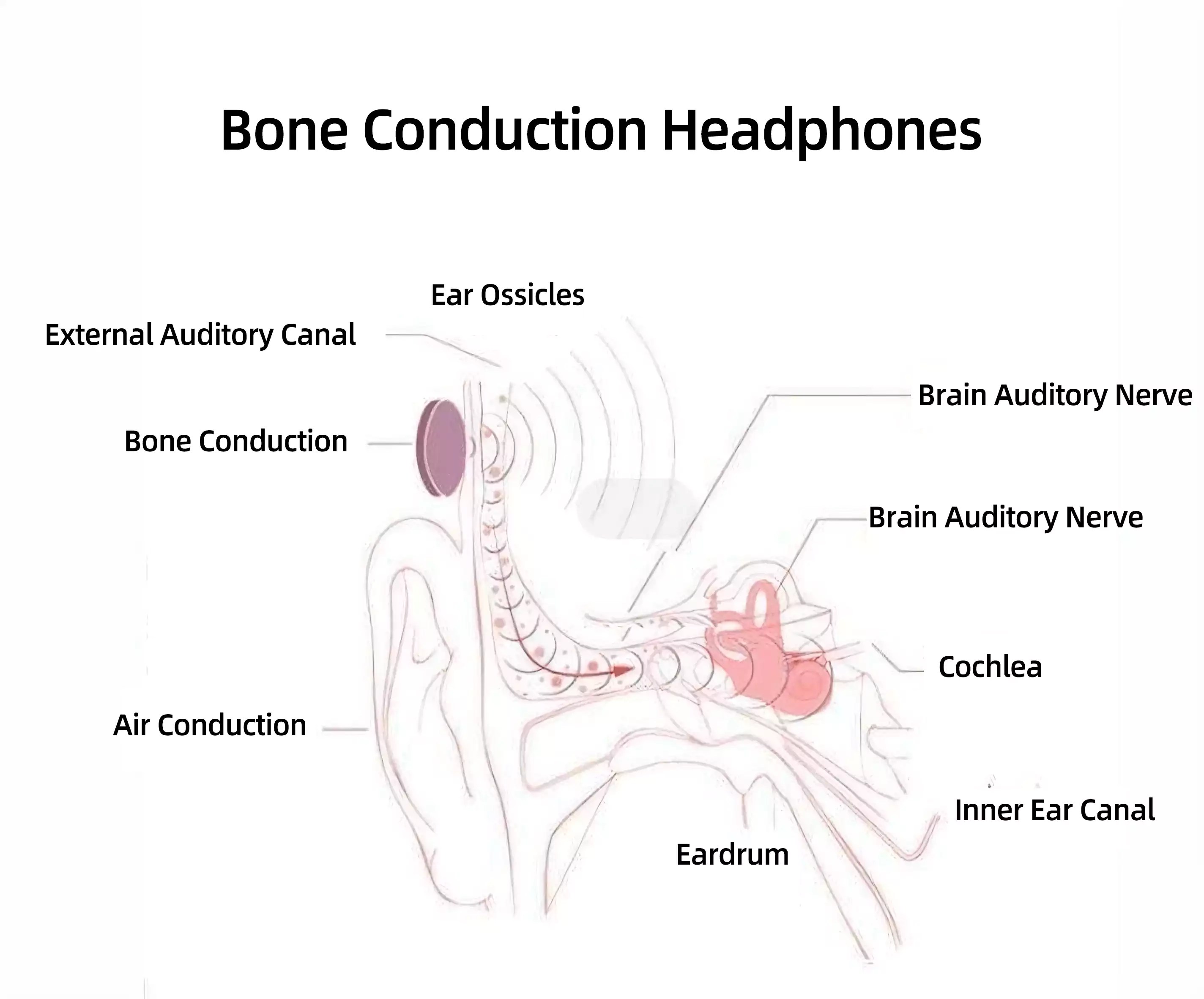 What Are Bone Conduction Headphones ? LOOKIAM