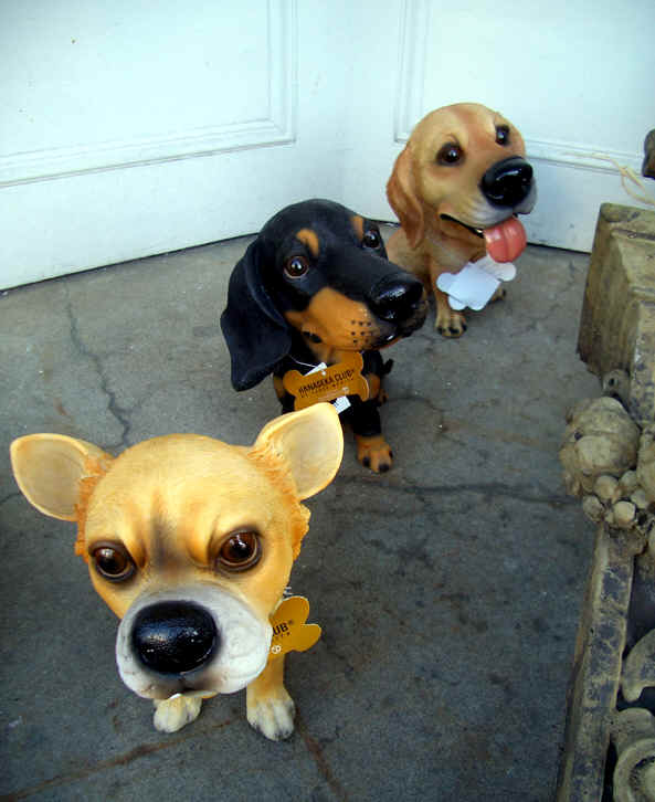 PROVINCETOWN FAKE DOGS PHOTO