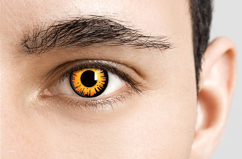 Looking Glass Optical Maryland Eye Care Looking Glass Optical