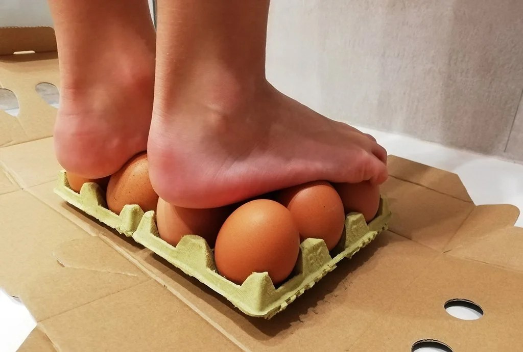 Can you walk on eggs? All but one of us can Looking out Loud