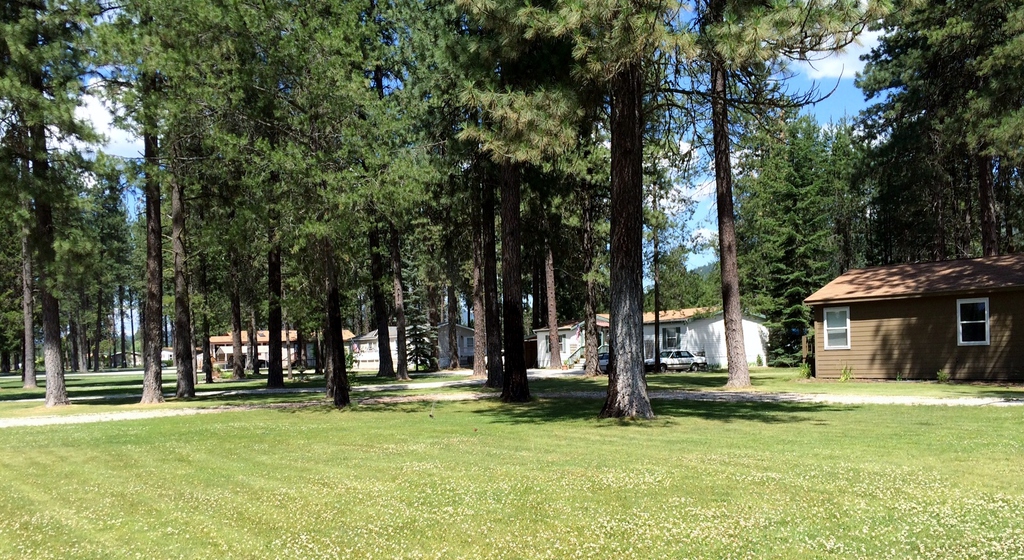 Learn About Our Park