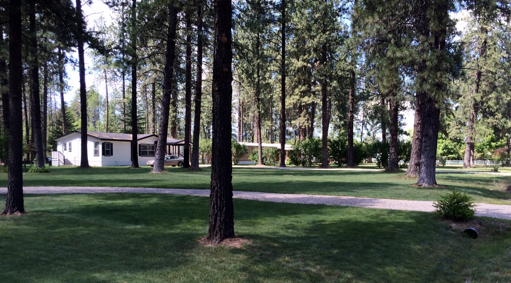 Learn About Our Park