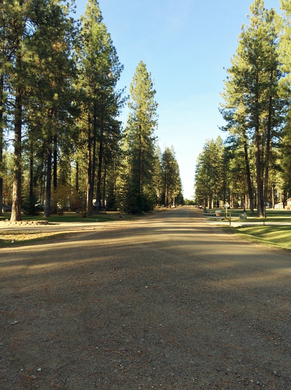 Learn About Our Park