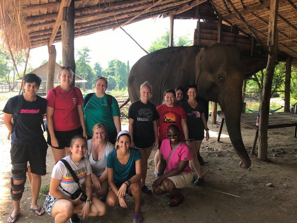 Elephant Medicine Externship Loop Abroad Veterinary Service and