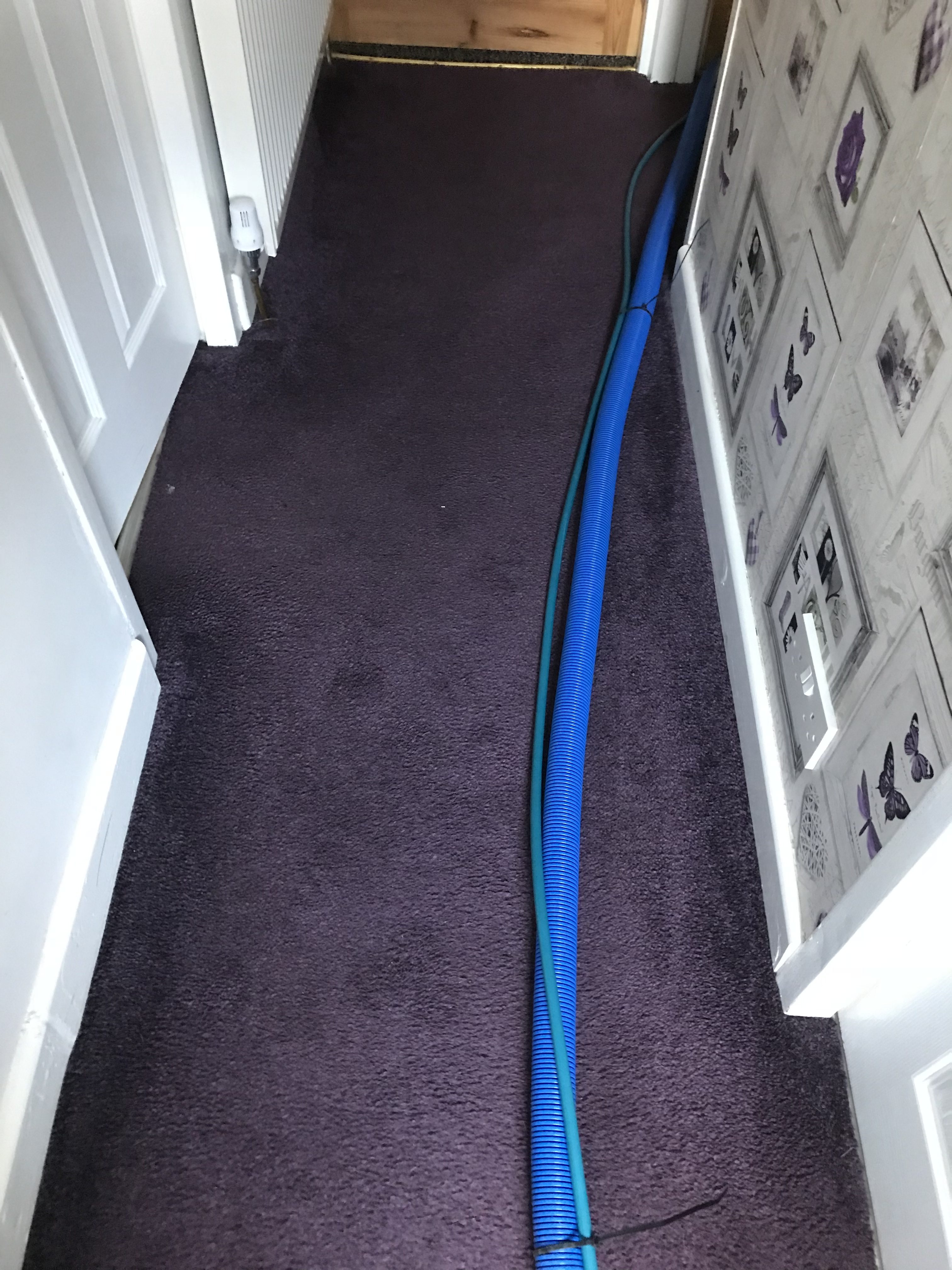 Carpet & Upholstery Cleaning Lords Of Cleaning