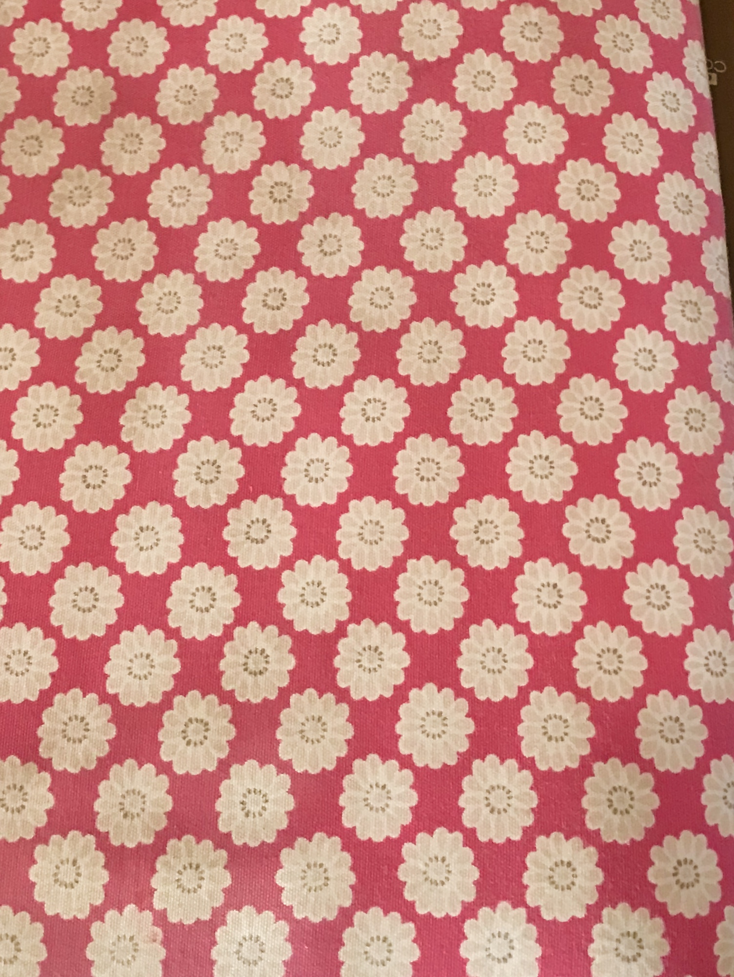 Carpet & Upholstery Cleaning Lords Of Cleaning