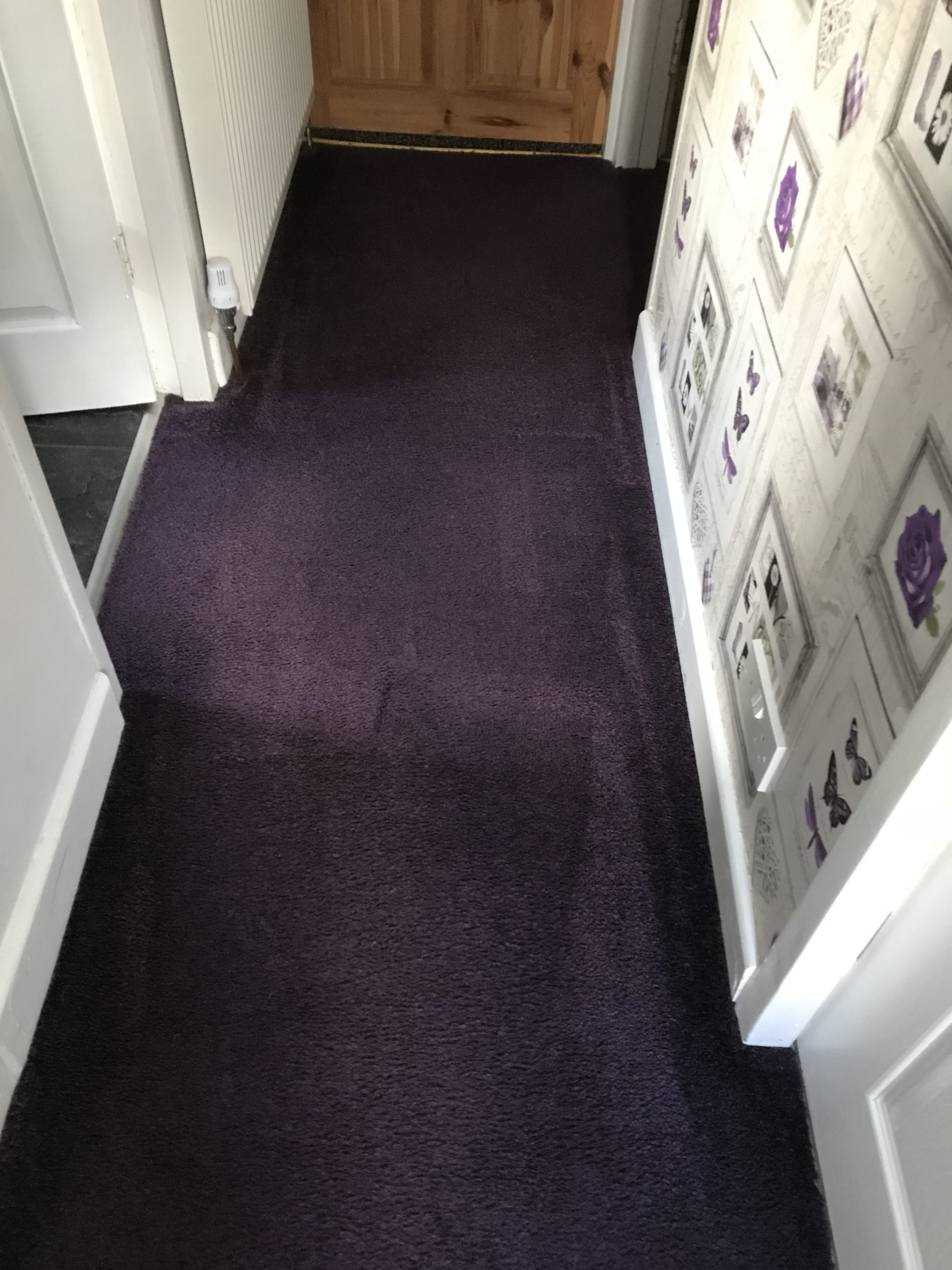 Carpet & Upholstery Cleaning Lords Of Cleaning