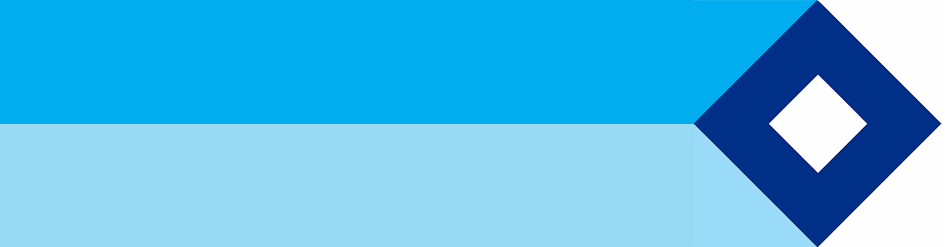 What is lorex client 13 - dasmotors