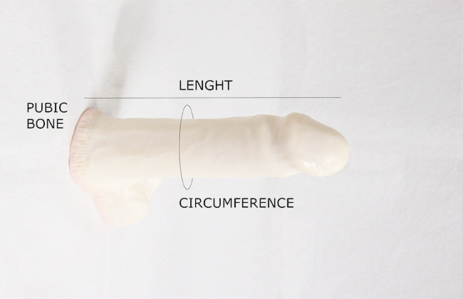 Calculate the number of procedures Loria Medical