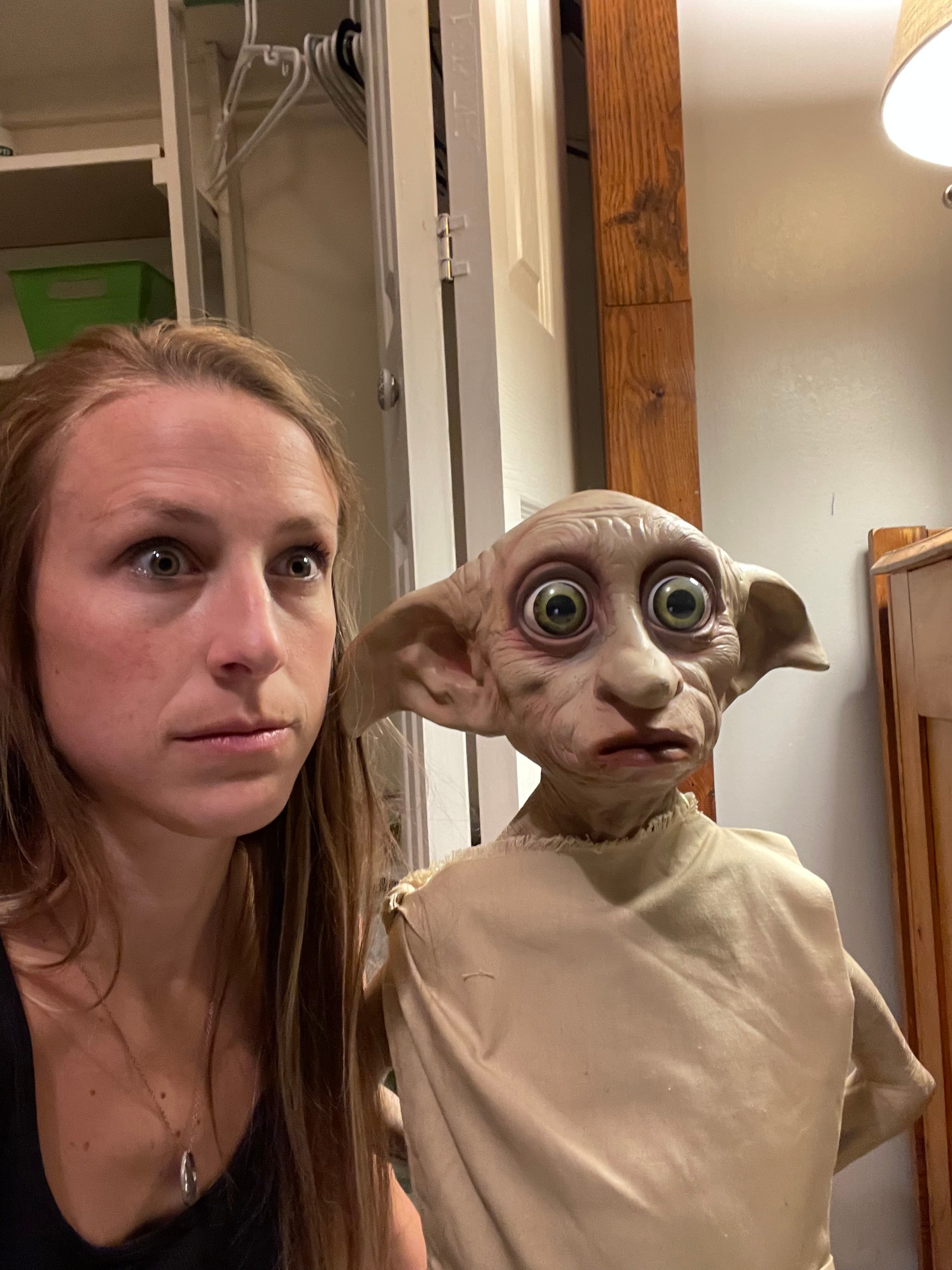 Make Dobby Make The Bed Lori Palminteri Lori Palminteri