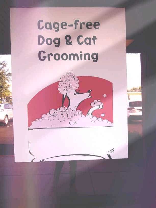 Home Lori's Dog Grooming