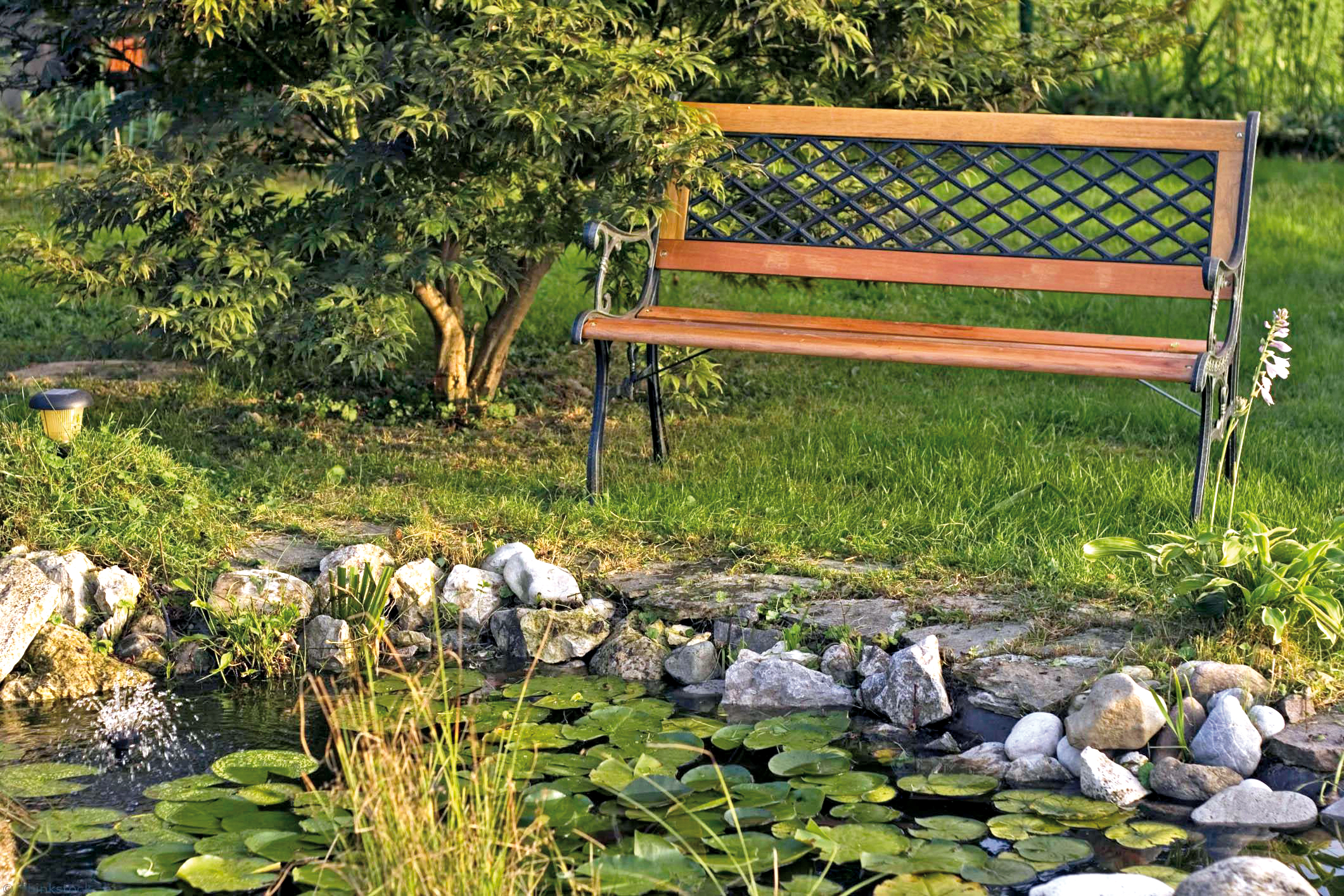 A Chacun Son Bassin De Jardin Lorraine Magazine