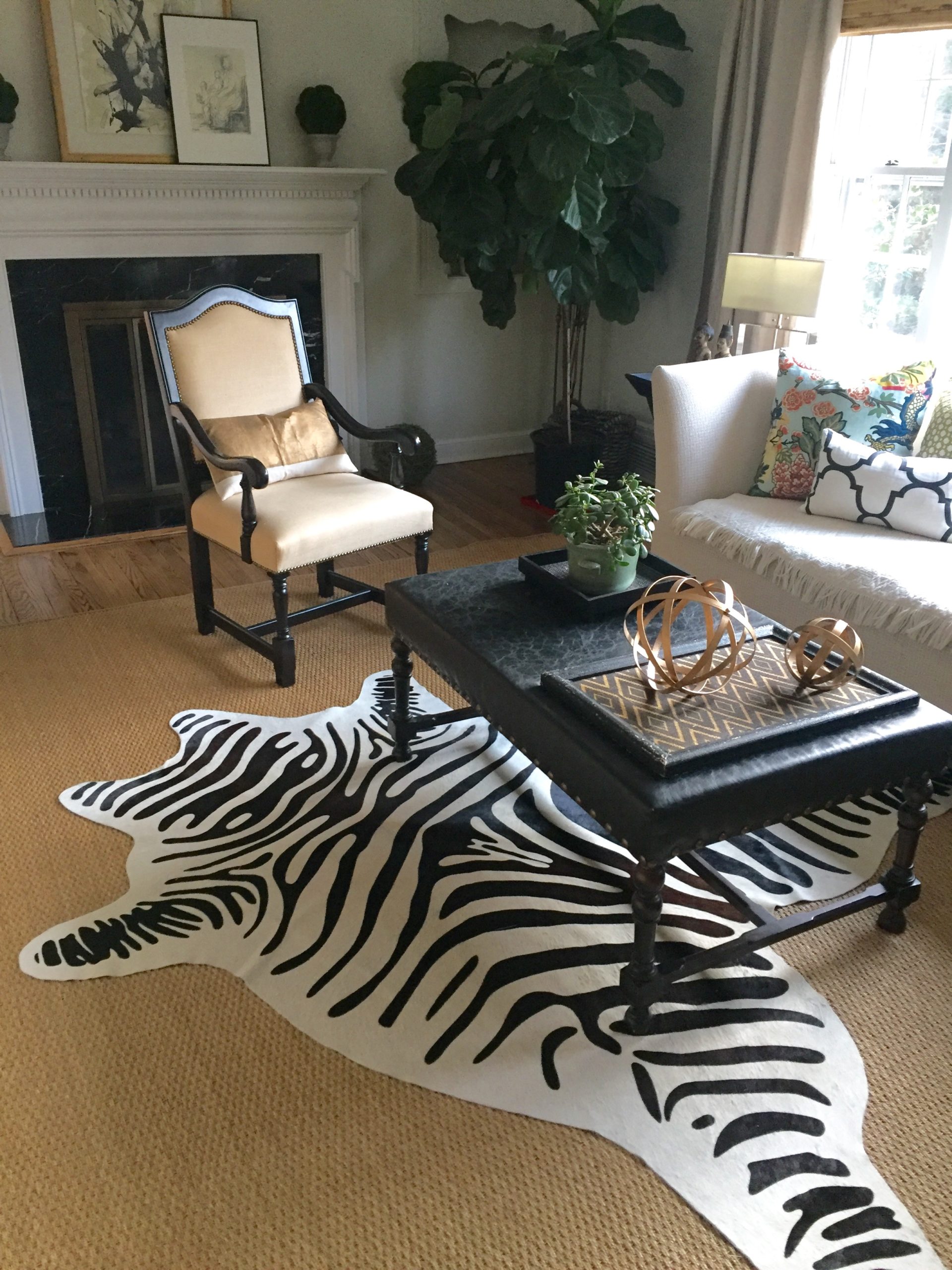 On The Cheap...My Hunt for a Zebra Rug Lorri Dyner Design
