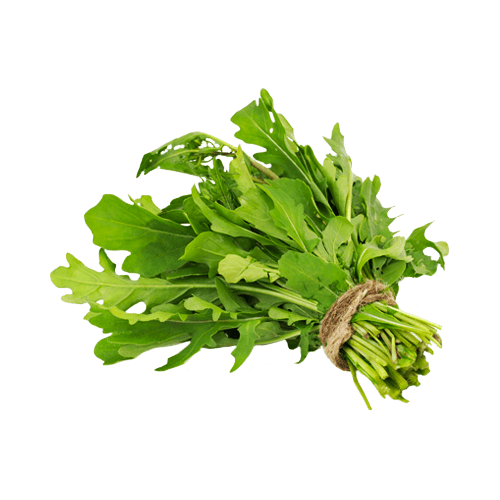 Rucola L'Orto di Eleonora Organizzazione Produttori Agricola