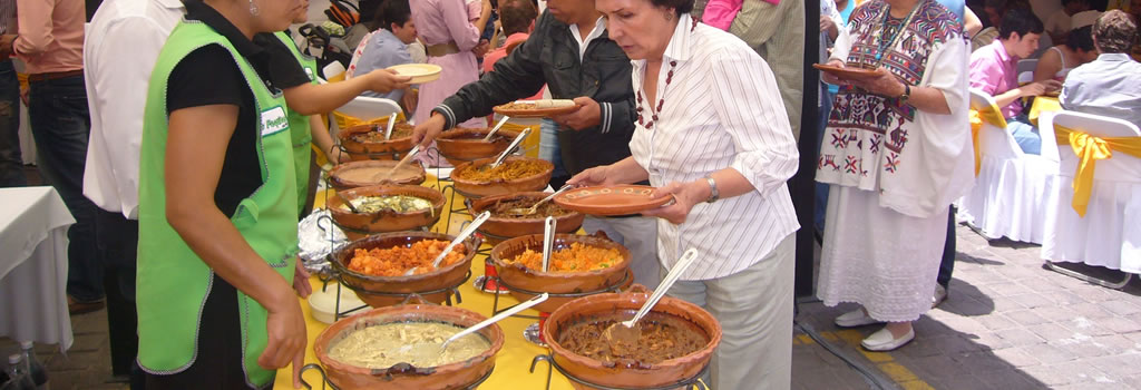 Los Foquitos Taquizas