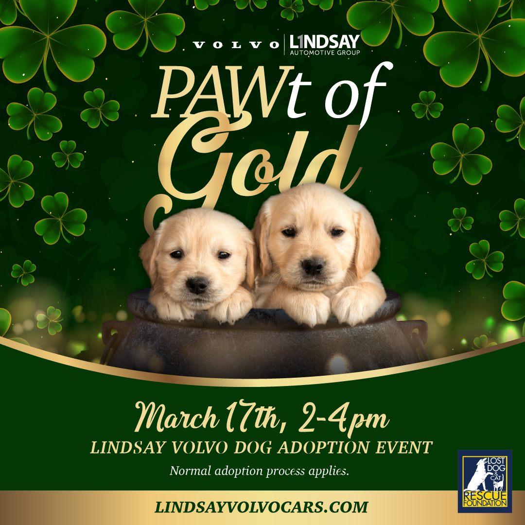 PAWT OF GOLD DOG ADOPTION EVENT | Lindsay Volvo Cars - Lost Dog & Cat
