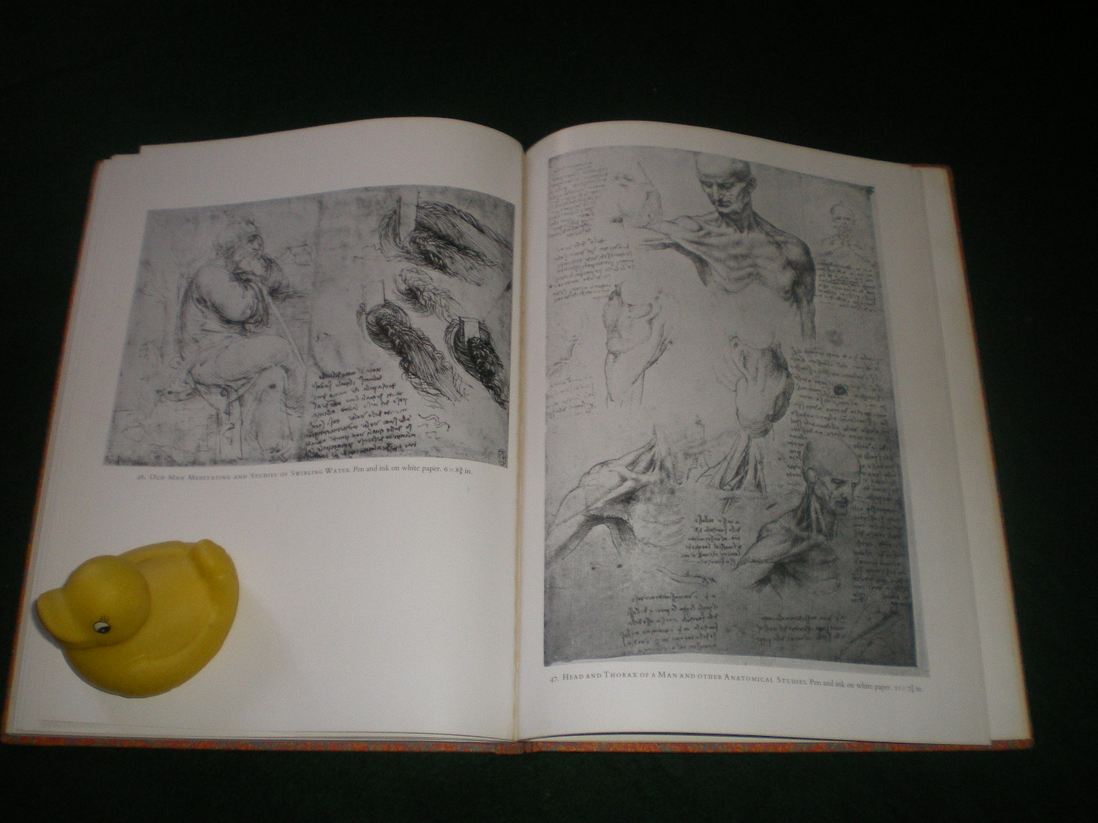 Leonardo Da Vinci Selected Drawings From Windsor Castle by