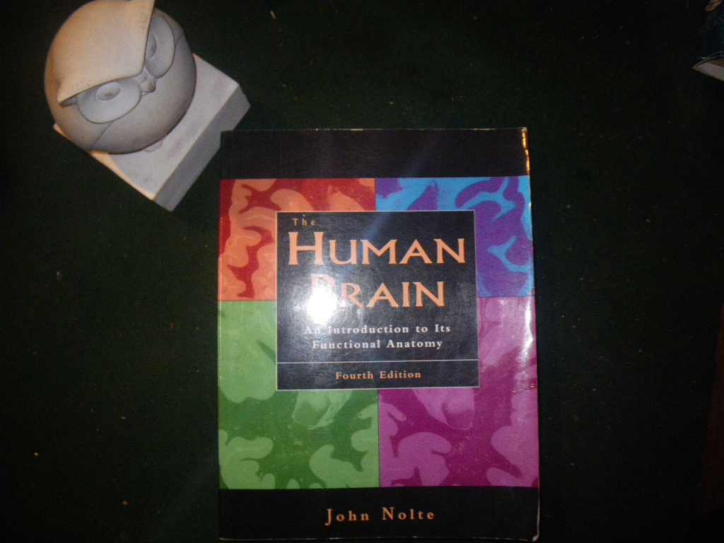 The Human Brain: An Introduction to Its Functional.