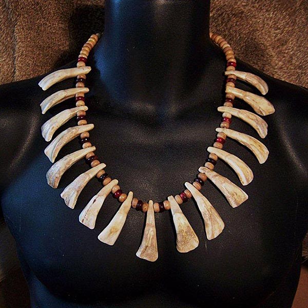Native American Buffalo Tooth Necklace