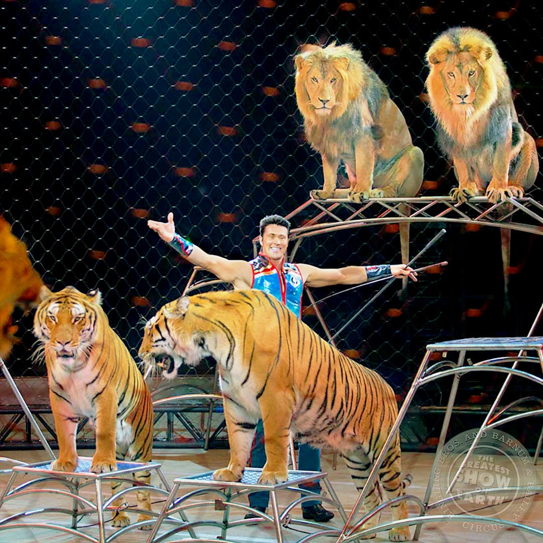 [Video] What to Expect in Ringling Bros. New Circus "Out Of This World