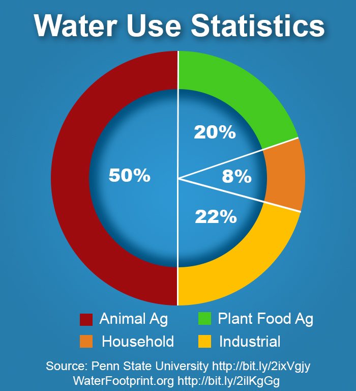 How to Go Vegan It's Far Easier Than You Think LottaVeg