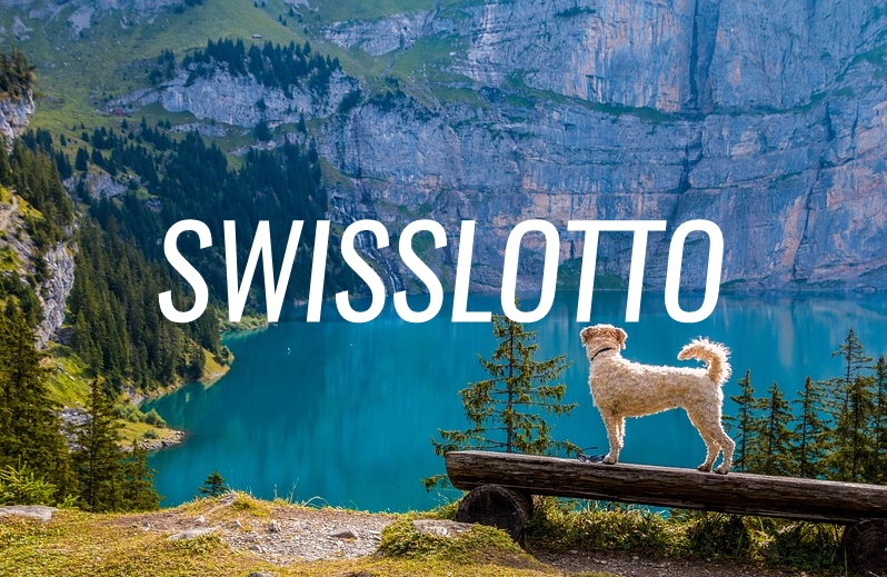 Schweizer Lotto in Rekordhöhe wo gibt es das Swisslos in Deutschland?