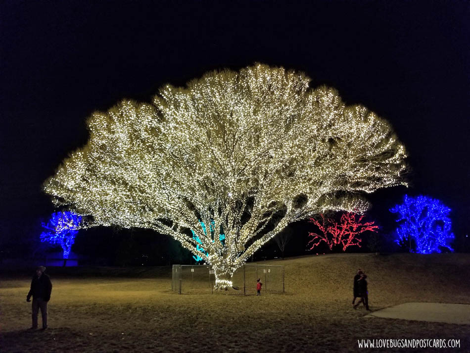 Christmas Activities in Utah 2022 Lovebugs and Postcards