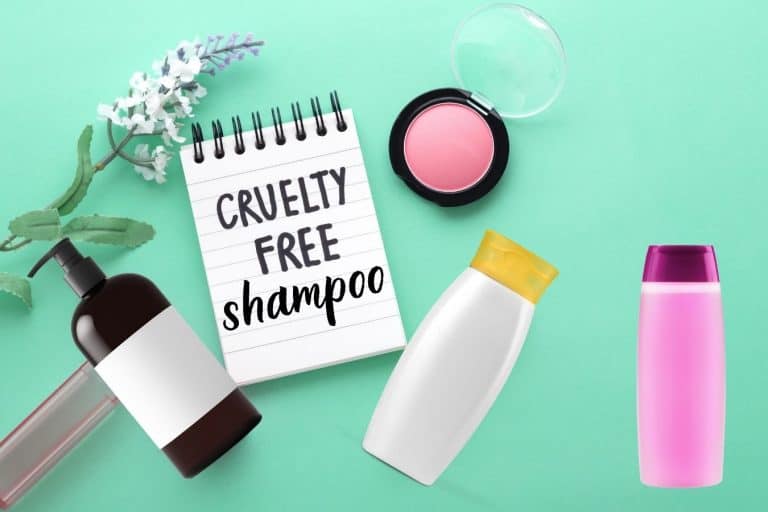 2022 Best Crueltyfree Shampoos (Ultimate Buying Guide)