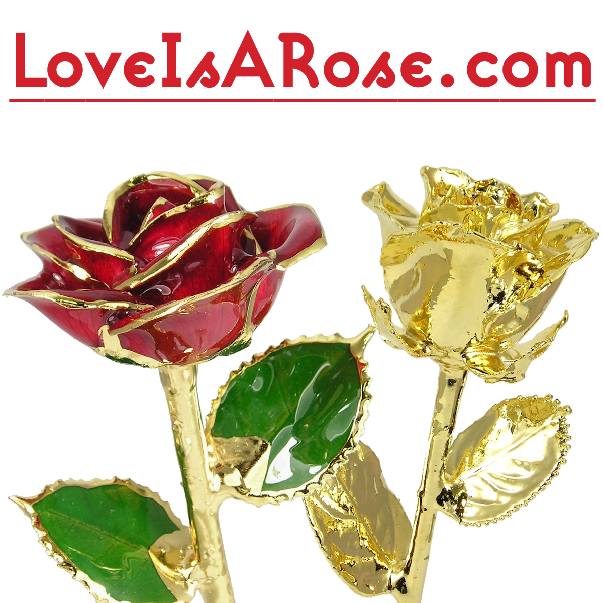 24k Gold Roses Gold Dipped Roses Will Last Forever
