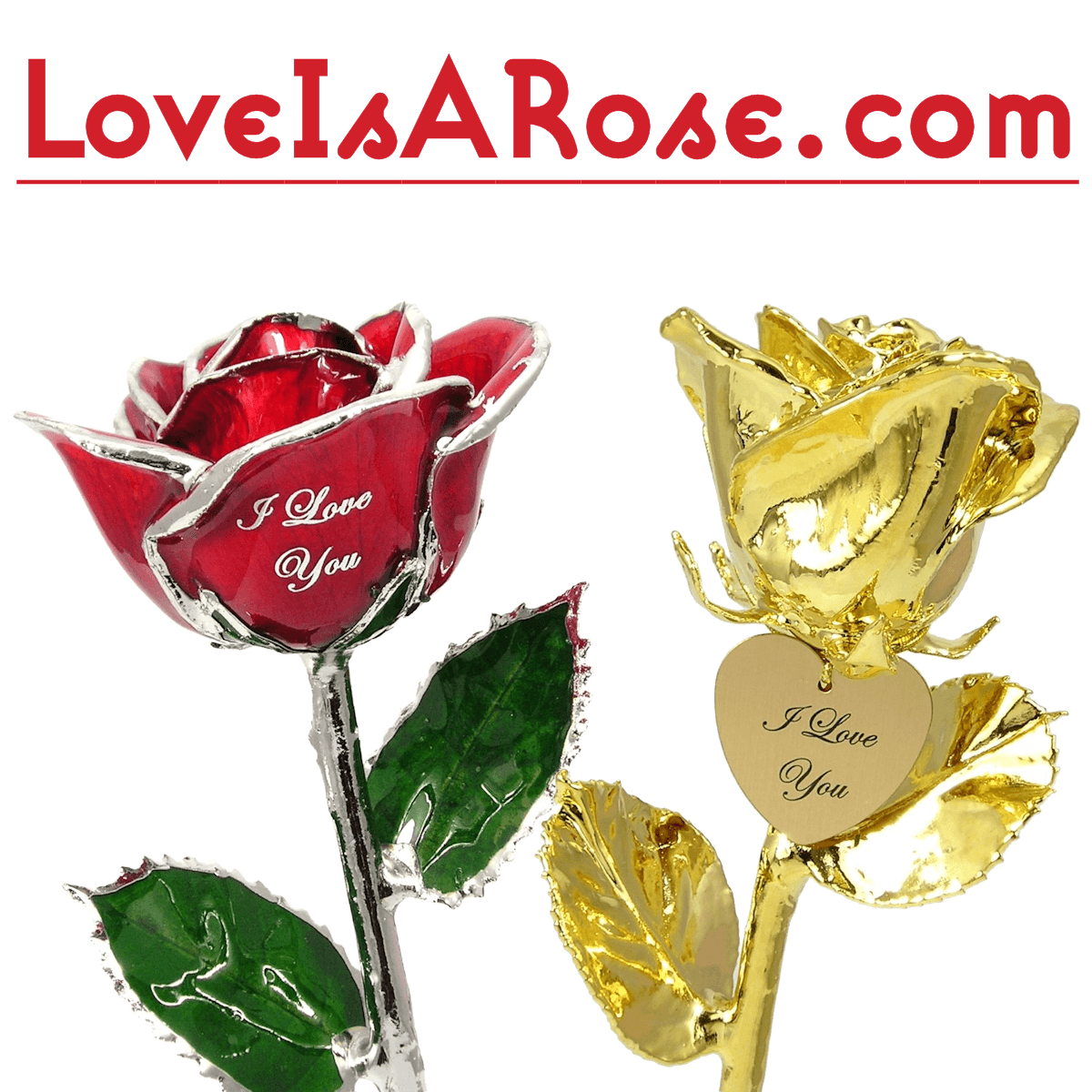 Rose Gifts Custom Roses Love Is A Rose