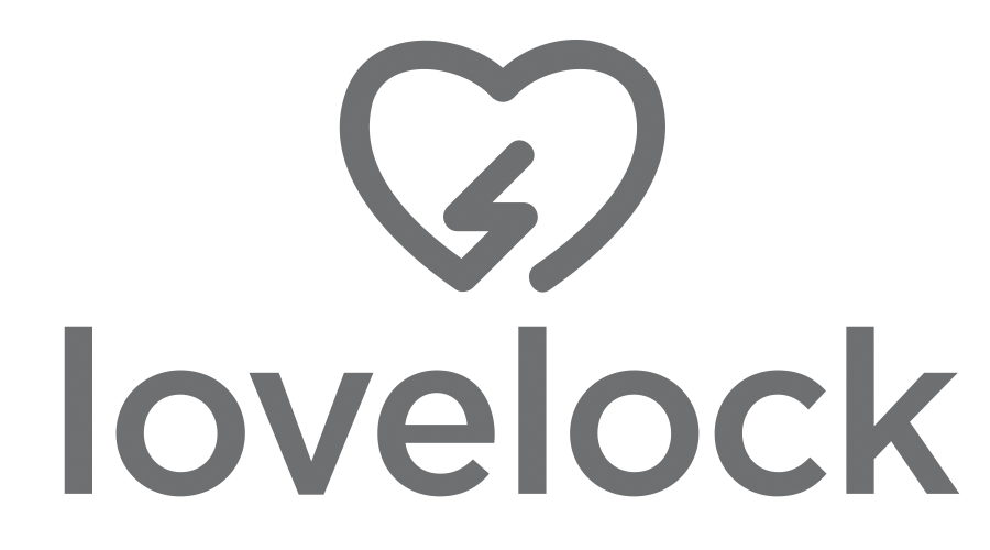 Lovelock Company Software y Hardware