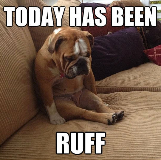 Today Has Been Ruff Pictures, Photos, and Images for Facebook, Tumblr