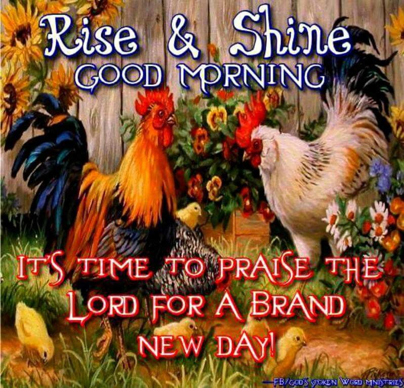 Rise And Shine! Good Morning Pictures, Photos, and Images for Facebook