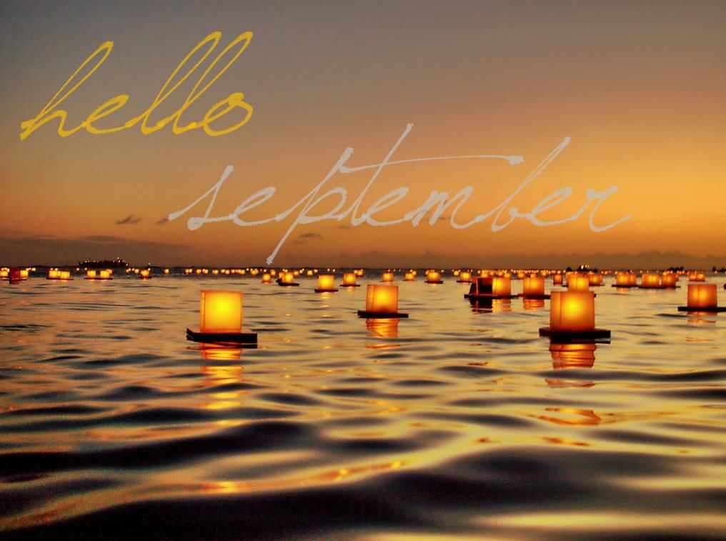 Beach Aesthetic Sunset Gif Bmpcentral