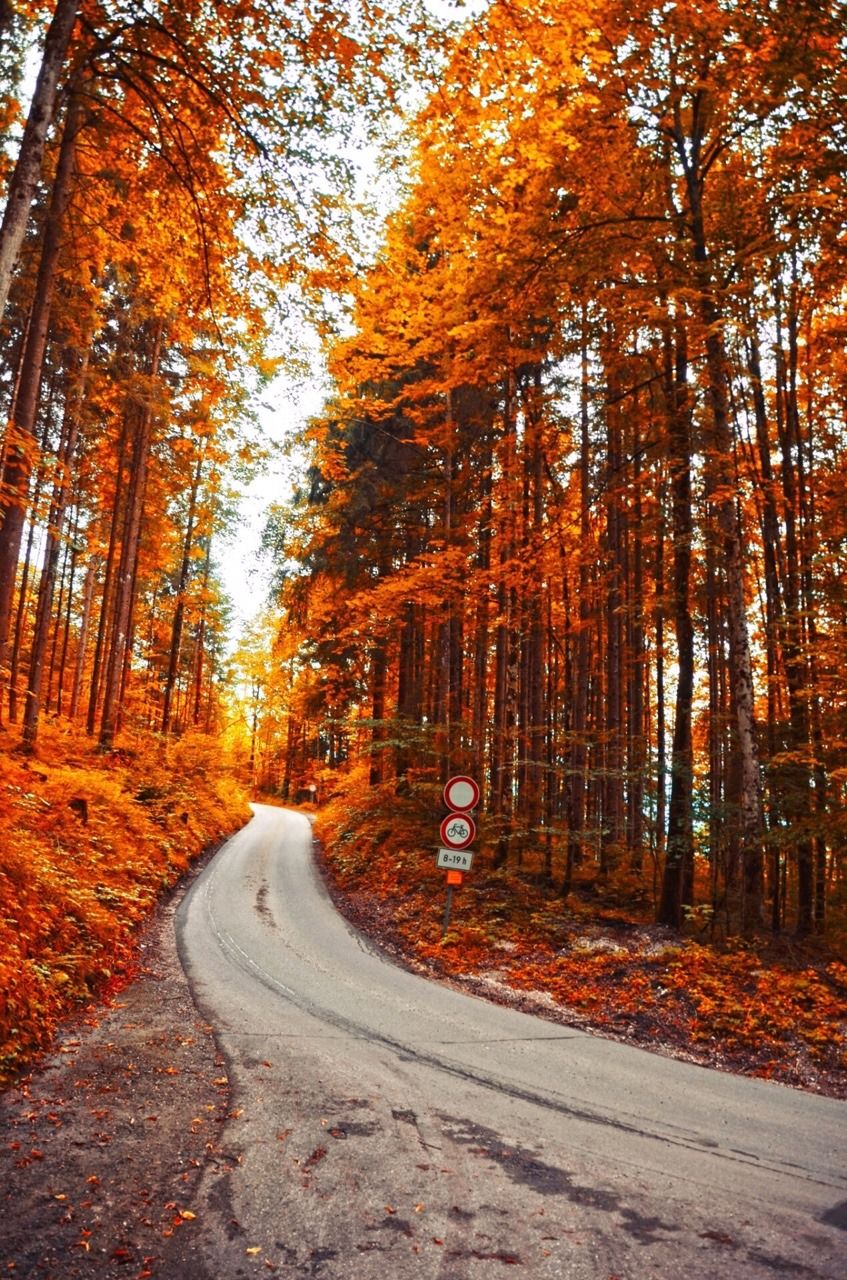Rustic Fall Scenery Pictures, Photos, and Images for Facebook, Tumblr