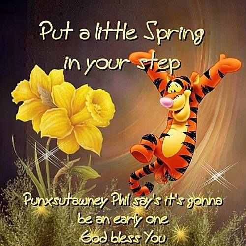 Put A Little Spring In Your Step Pictures, Photos, and