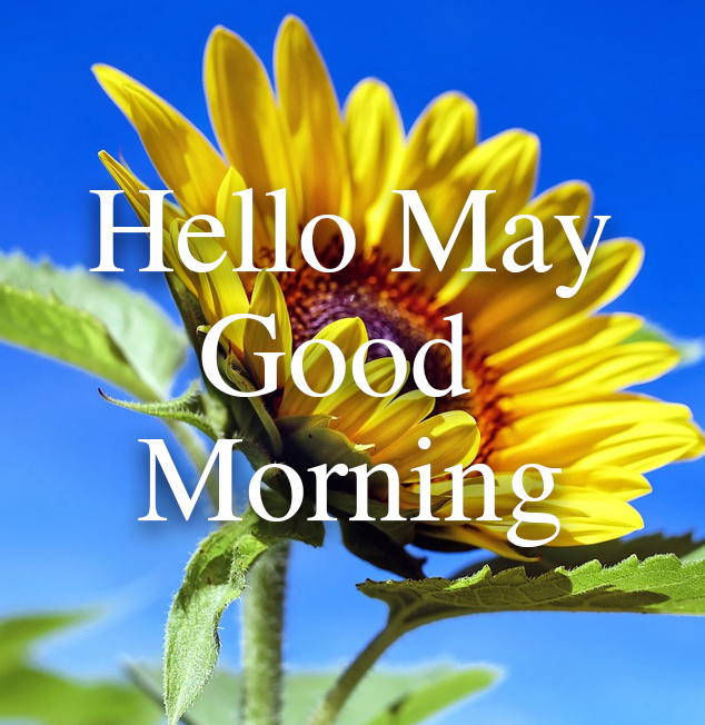 Hello May Good Morning Pictures, Photos, and Images for Facebook