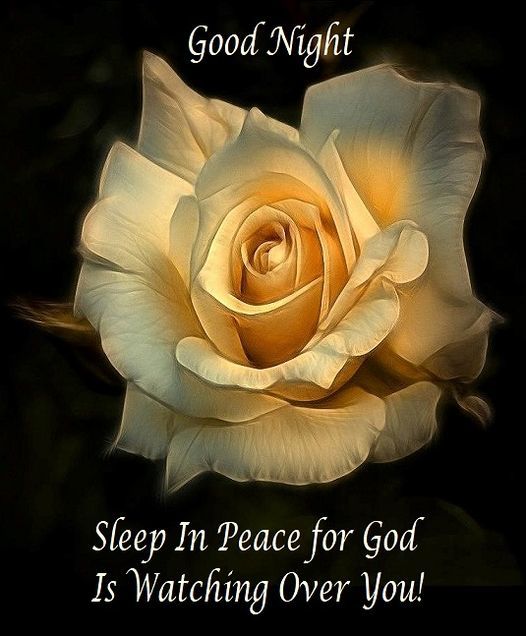 Good Night, Sleep In Peace For God. Pictures, Photos, and Images for
