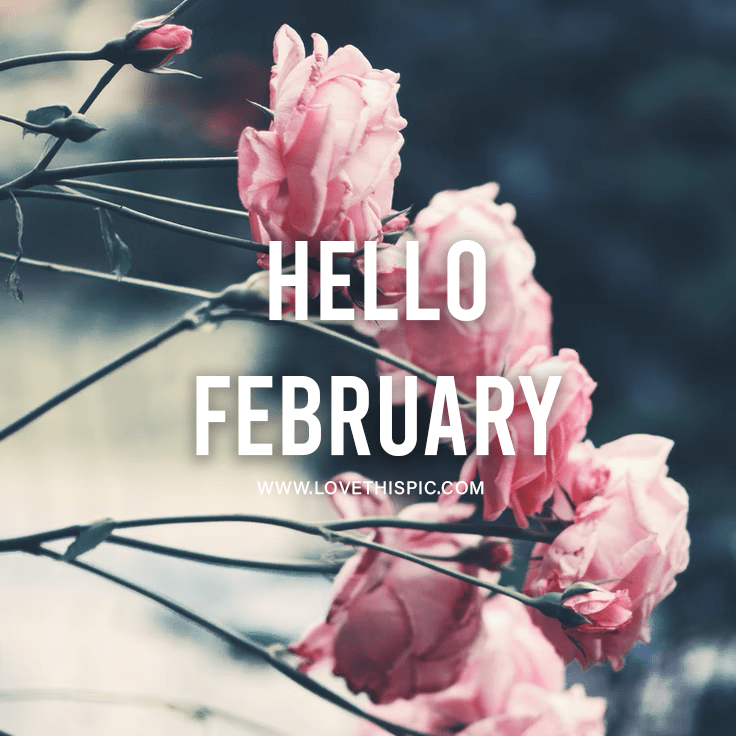 Bundle Of Pink Roses Hello February Pictures, Photos, and Images for