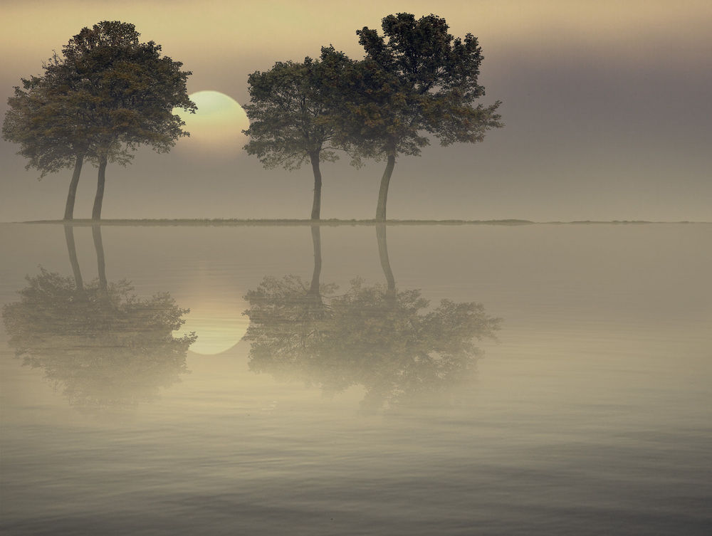 Beautiful Tree Reflection Pictures, Photos, and Images for Facebook