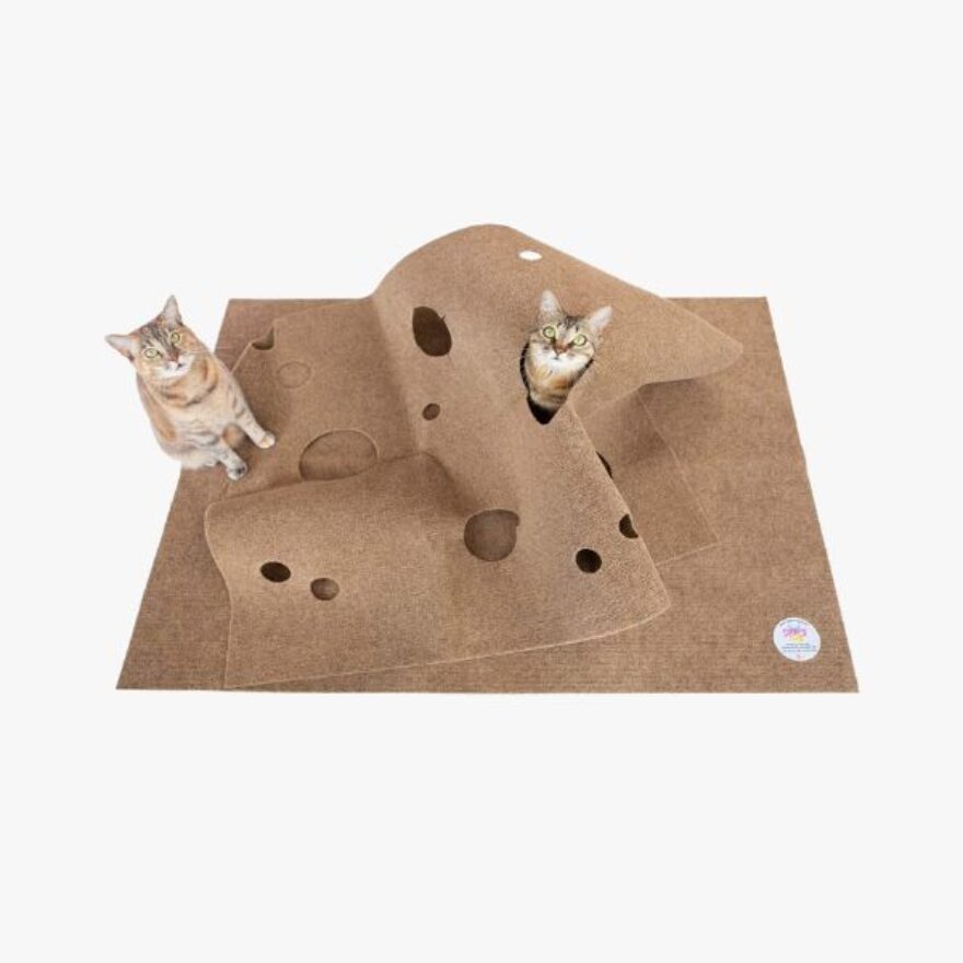 Best Toys For Maine Coon Cats Love Your Cat