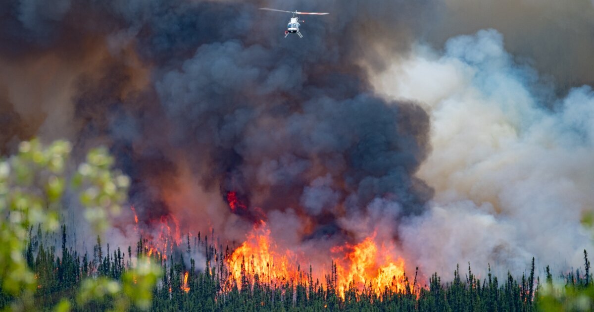 How to find home insurance in a wildfire zone LowestRates.ca
