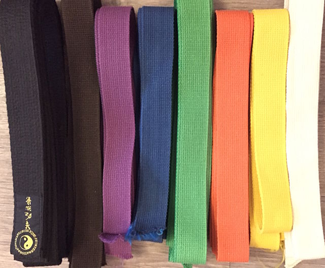 Martial Arts Belts & Ranking System